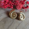 Boucles d’oreilles Calypso coquillage doré acier inoxydable | Maison Rosie